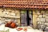 Местный колорит каменных черногорских домов