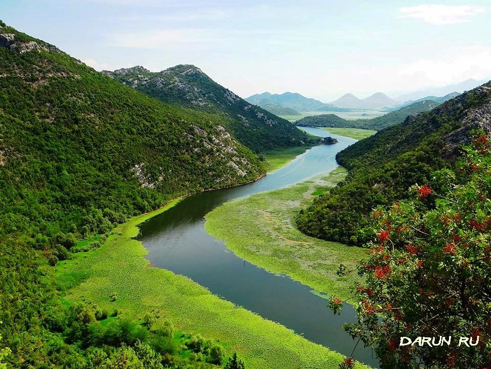Река Черновица
