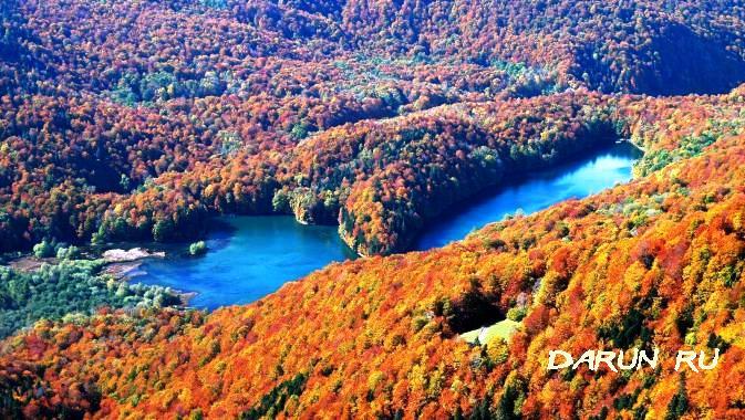 Осень в парке Биоградска Гора Черногория