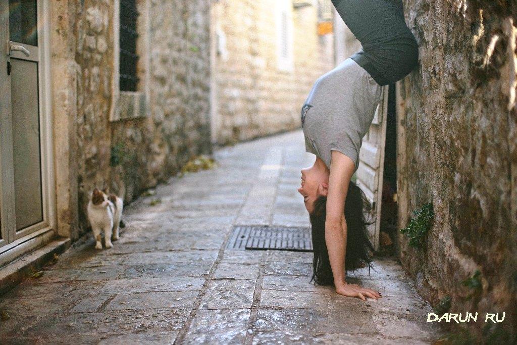 Будванская кошка & гимнастка