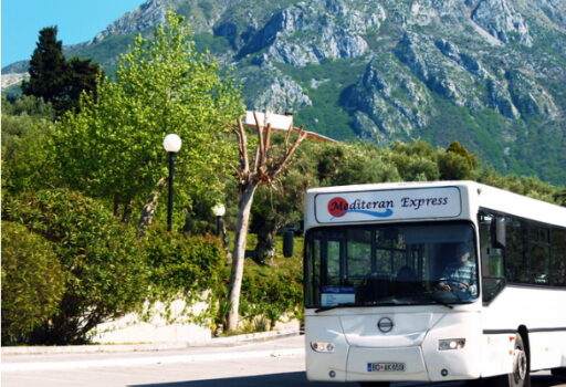 Местные и международные автобусные линии в Черногории